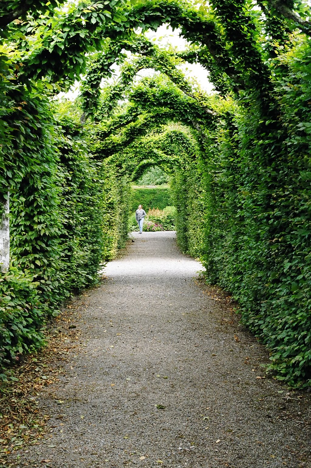 ireland-birr_castle_gardens_archway_roz