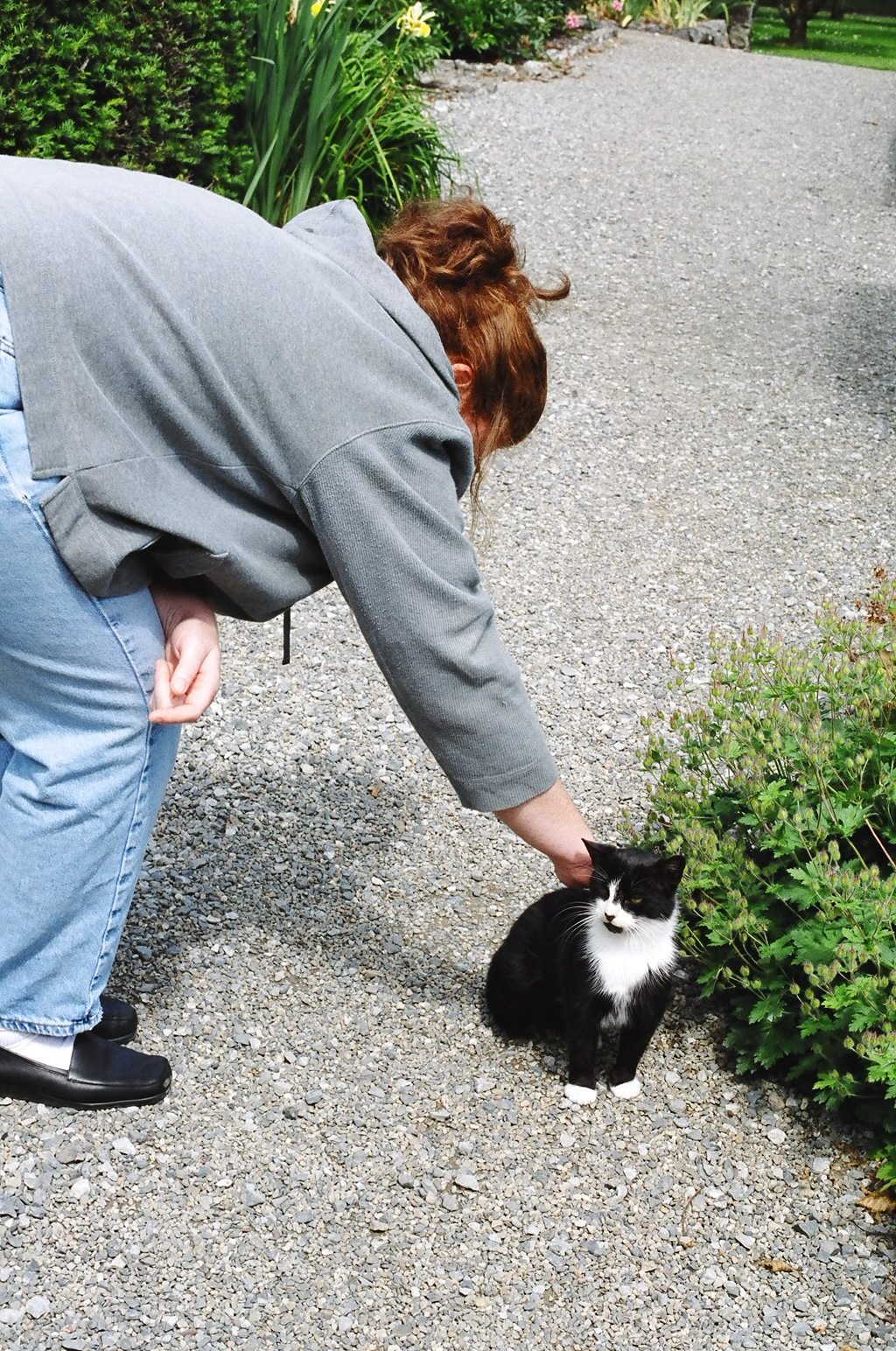 ireland-birr_castle_gardens_roz_cat