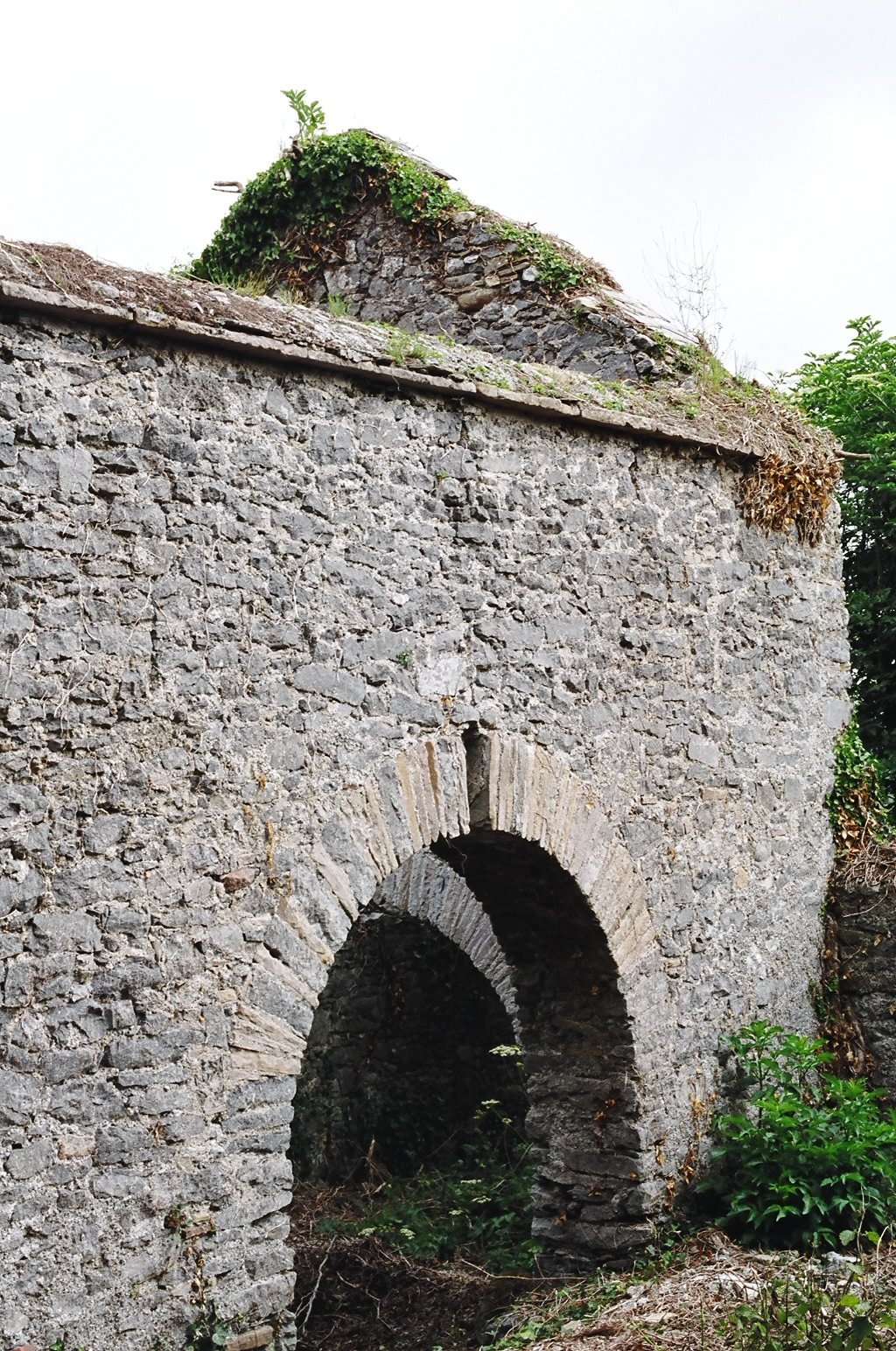ireland-leap_castle_side_ruins2