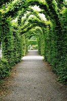 ireland-birr_castle_gardens_archway_roz