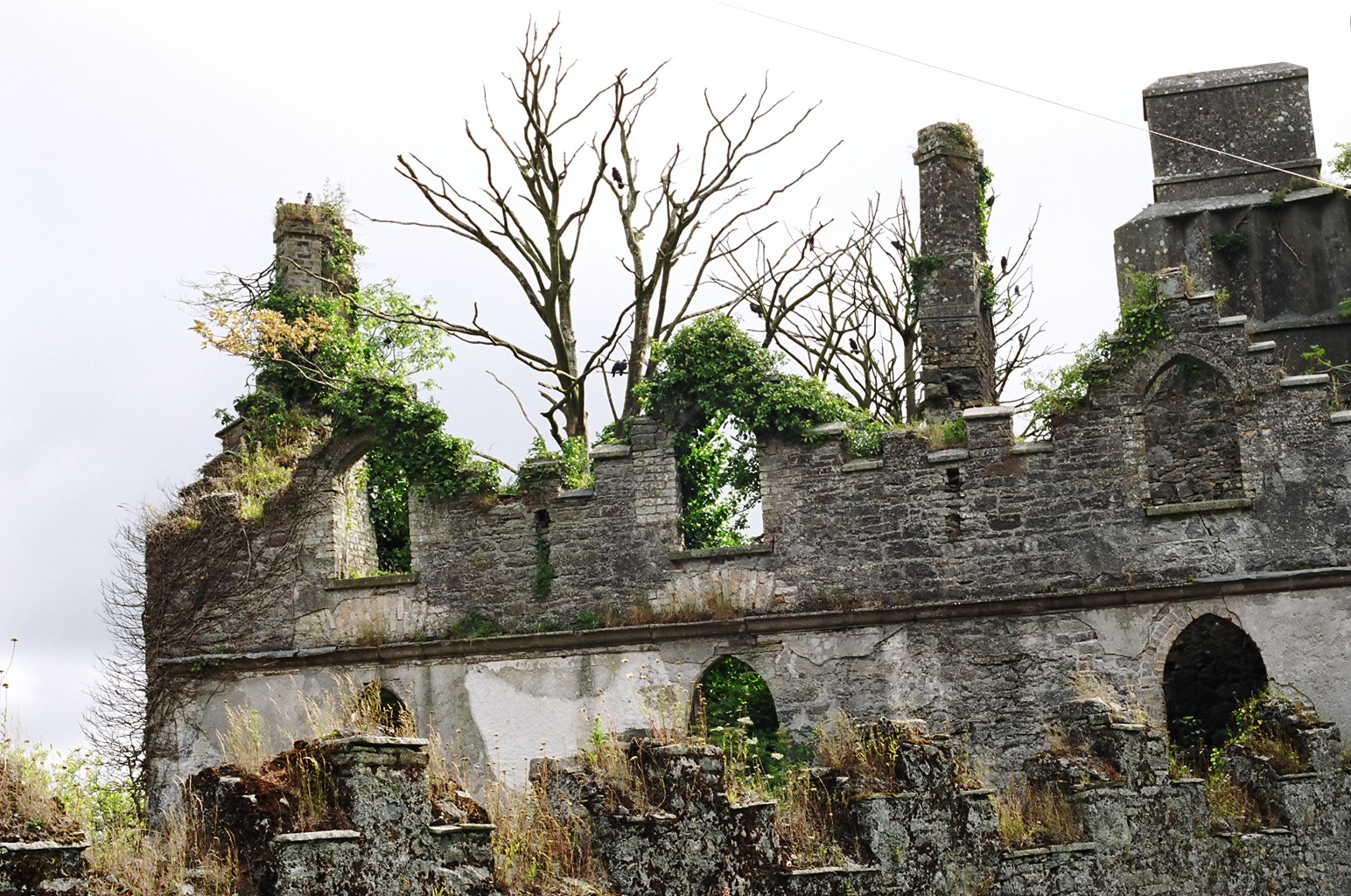 ireland-leap_castle_ruins_outside_lwing2