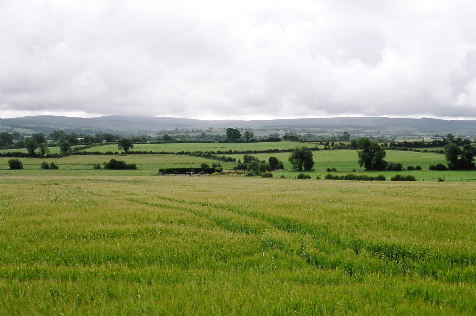 ireland-typical_ireland_view
