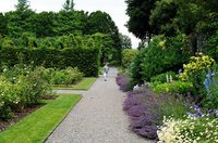 ireland-birr_castle_gardens_flowers_roz
