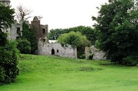 ireland-leap_castle_front_ruins