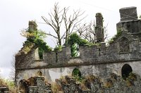 ireland-leap_castle_ruins_outside_lwing2