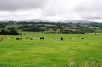 ireland-leap_castle_view2