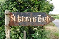ireland-st_kierans_bush_sign