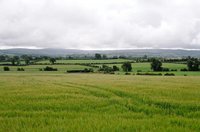 ireland-typical_ireland_view