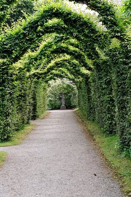 ireland-birr_castle_gardens_archway