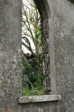 ireland-leap_castle_ruins_lwing_tree