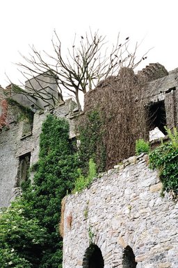 ireland-leap_castle_ruins_outside_lwing3