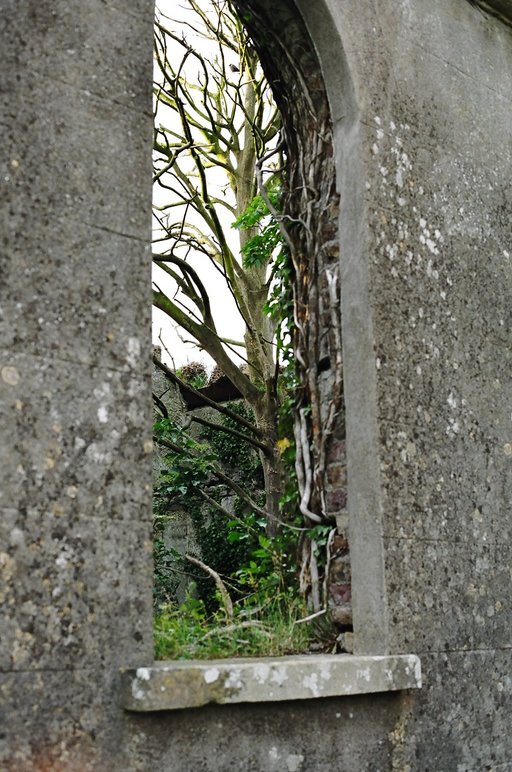 ireland-leap_castle_ruins_lwing_tree