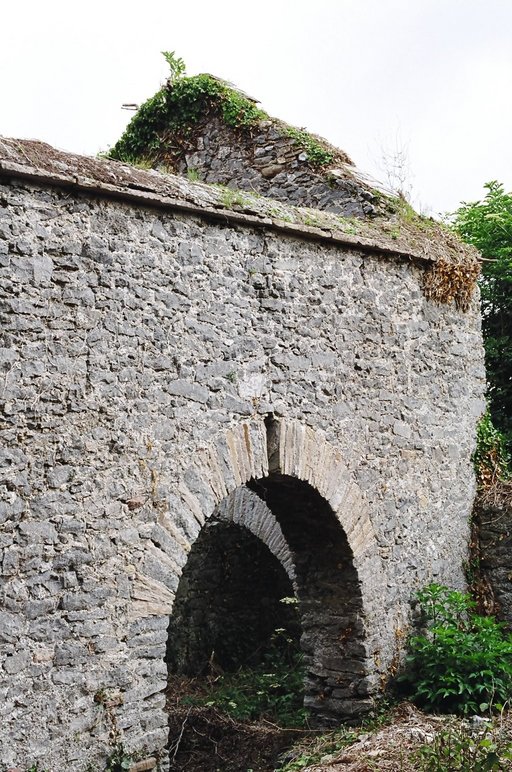 ireland-leap_castle_side_ruins2