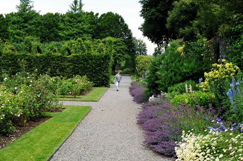 ireland-birr_castle_gardens_flowers_roz