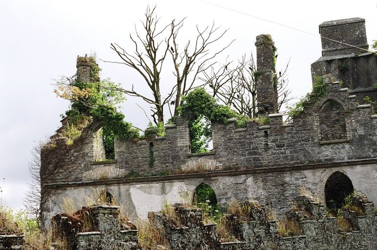 ireland-leap_castle_ruins_outside_lwing2